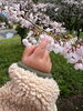 「🌳新しい1年の始まり🌳」