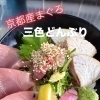 京都産まぐろ🐟三色どんぶり✨