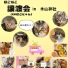 米粉チュロス専門店　こめこねこ　4/19 出店情報
