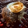 壺焼き