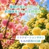 季節の訪れと共に癒やしのひとときを「春の疲れを感じたら、ほっとひと息つく時間を」