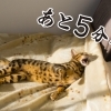 お疲れリセットしませんか？