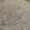 COKKIPANのパン作りで活躍している『麹菌』のこと✨