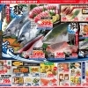 4/17(金)～19(日)　青魚を食べよう！
