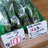 最近魚が少なめなので寂しい🙄