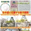 2026年4月17日は牡羊座新月です✨お願い事を書いて宇宙のリズムに乗りましょう✨