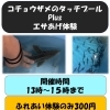  【週末イベント情報！】水族館で体験学習！コチョウザメに触ってみよう🦈