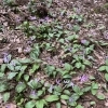 肌の「くすみ」を、食べグセから見つめてみる