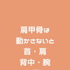 ガチガチ肩こり・首こりに「肩甲骨はがし」のご案内（明石市・接骨院）