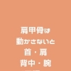 ガチガチ肩こり・首こりに「肩甲骨はがし」のご案内（明石市・接骨院）