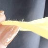 気になっているけど、まだ来ていないあなたへ