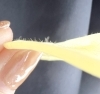 産毛がこんなに？！「気になっているけど、まだ来ていないあなたへ」