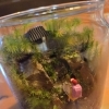 Feel the Garden あまがさき店さんで苔テラリウムを買いました