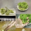山菜の女王👸🏻💚