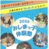 市内小学4～6年生対象♪「みしまっ子体験塾」参加者募集！