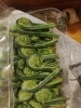 こごみ「こごみ、かたくり　　山形より山菜入荷しました」