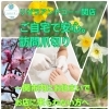 プロのケアを自宅で。訪問爪切り🌸