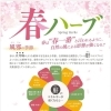 春ハーブよもぎ蒸しで、花粉シーズンのゆらぎケアを
