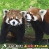 【 環境と動物のために 】