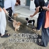 子犬教室では何が出来るの？泉大津市のしつけ教室