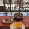 今週のもかちゃんのチーズケーキ⭐︎