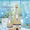 繁桝　夏に夢る雪　入荷！