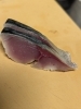 〆さば「【魚も酒も自ら厳選する瑞江の小料理屋】」