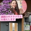 満開のサクラソウとお迎えします