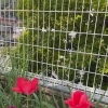 新年度スタートしました🌷