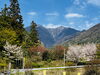 「ねざめ亭から望む、桜と駒ヶ岳の春景色【寝覚の床　絶景テラス　絶景トイレ】」