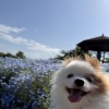 たまには健康な生活もしないとね【休日投稿】