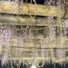 樹齢400年の藤が見頃に！西条市喜多川の観音堂「藤の花食堂」とライトアップ情報！（2026年4月18日撮影）