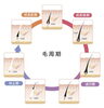 毛周期に合わせた脱毛で綺麗に。「脱毛と毛周期のお話＊効果的なタイミングとは？【看護師が行う脱毛、フェイシャルサロンkana  宮崎】」