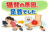 「姿勢が崩れる人はここが硬い【出雲・平田・斐川 整体】」