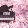 春に音楽レッスンを始める理由【安井音楽教室】