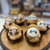 毎月9のつく日はどうぶつさんシューの日♪本日はあざらし＆もぐらが登場です