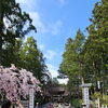 【田辺市・上富田町・白浜町】お墓参りや参拝も、自費サービスで安心同行【高齢者・外出支援】