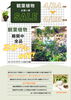 「4／24〜26 観葉植物SALE‼️」