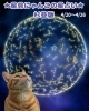 猫とにゃんこ星占いで幸運を掴もう「🌟 杉並区版☆12星座占い 🌟 まいぷれ☆星見にゃんこ 🌟 4/20〜4/26」
