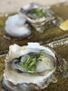 岩牡蠣　生「舞鶴産！濃厚クリーミーな岩牡蠣で京丹後の夏を先取り　生でも焼きでも贅沢に」