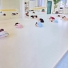幼稚園バレエクラスも新学期スタート♪発表会に向けて練習中です