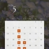 5月のスケジュール🗓️