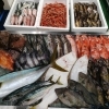 📣本日のお魚情報🐟