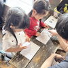 「🎏「特徴を捉える力」「比較する力」「言葉で説明する力」🧗【2歳～未就学児のボルダリング知育教室のぼちー】★葛西」
