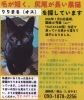 黒猫 りりまる（オス）捜 索「迷子の黒猫「りりまる」を探しています」