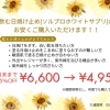 飲む日焼け止め(ソルプロホワイトサプリ)がお安くご購入いただけます🌟