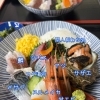 丹後の海の幸が勢ぞろい！地魚が主役の「ちょうどいい海鮮丼」で贅沢なひと時を