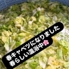 春キャベツ仕込みでふんわり甘い、春限定のきわみ＆カレー餃子