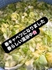 美味しいキャベツなので是非餃子を食べてみて！「春キャベツ仕込みでふんわり甘い、春限定のきわみ＆カレー餃子」
