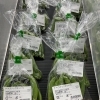 旬を迎えた野菜🫛